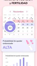 Calendario Menstrual 3