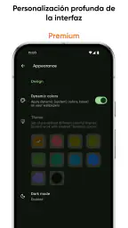 Castro Premium 5
