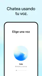 ChatGPT 2