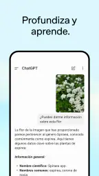 ChatGPT 4