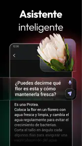 ChatOn - Chat de IA en español screenshot