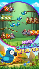 Ordenar Pájaros 2 Rompecabezas screenshot