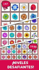 Connect Master: Juego Empareja screenshot