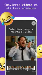Crear stickers animados (FSM) 2