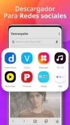 Descargador 1
