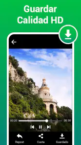 Descargador de Estados y Video screenshot