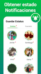Descargador de Estados y Video screenshot