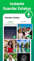 Descargador de Estados y Video 6