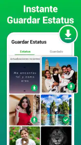 Descargador de Estados y Video screenshot