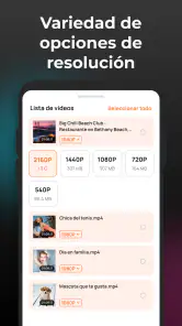 Descargador de Video HD screenshot