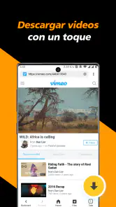 Descargador de video privado screenshot