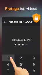 Descargador de vídeos 5