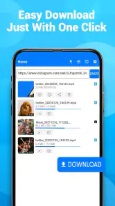 Descargador de vídeos screenshot