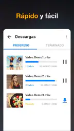 Descargador de vídeos en HD 2