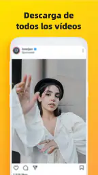 Descargar videos, Descargador 1