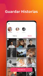 Descargar videos - Story Saver 3