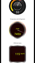Diagnóstico Tor OBD2 6