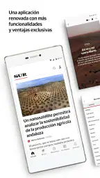 Diario Sur 1
