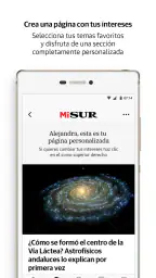 Diario Sur 3