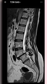 DICOM Viewer screenshot