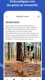 Doguify: petfriendly y alertas 6