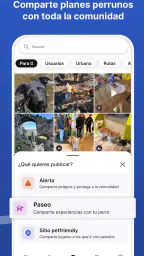 Doguify: petfriendly y alertas 7