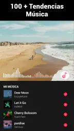 Editor de videos - Video.Guru 5