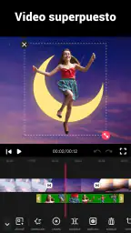 Editor de videos - Video.Guru 6