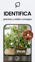 Escáner a PDF - TapScanner 4