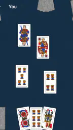 Escoba de 15 6