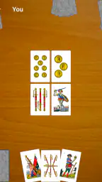 Escoba de 15 7