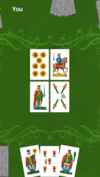 Escoba de 15 8