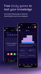 Estudia fácil screenshot