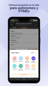 Facturas y presupuestos | STEL screenshot