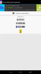 Fecha de Matriculación España 4