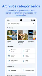 Files de Google screenshot