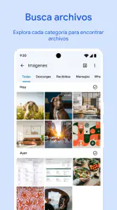 Files de Google screenshot