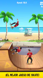 Flip Skater 8