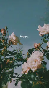 fondos de pantalla aesthetic screenshot