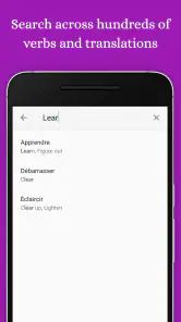 French Verb Master: French App screenshot