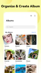 Galería de fotos - álbum 3