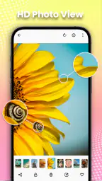Galería de fotos y álbum 5