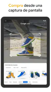 Google screenshot