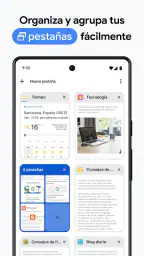 Google Chrome 4