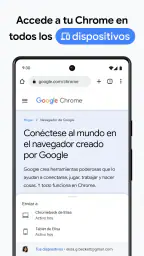 Google Chrome 5