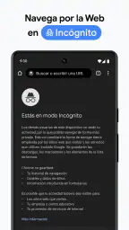 Google Chrome 6