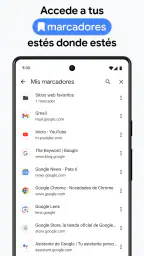Google Chrome 8