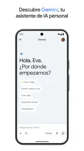 Google Gemini screenshot