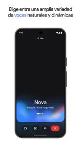 Google Gemini screenshot