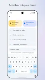 Google Home 5